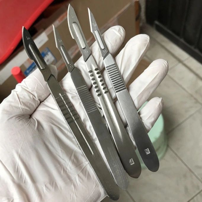 📍𝗔 𝗦𝗖𝗔𝗟𝗣𝗘𝗟 𝗶𝘀 𝗮 𝗯𝗹𝗮𝗱𝗲𝗱…